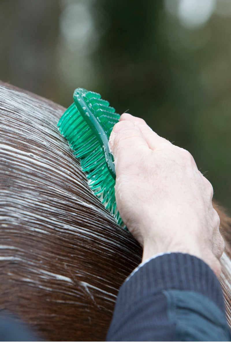 Le Mieux Hippo Brush Green