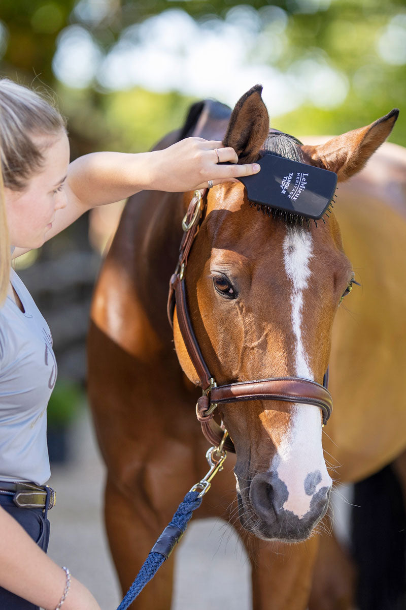 Le Mieux Tangle Tidy Black