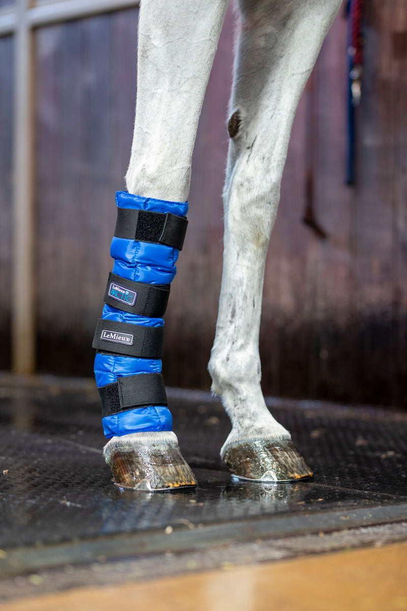 LeMieux Arctic Ice Boot Blue