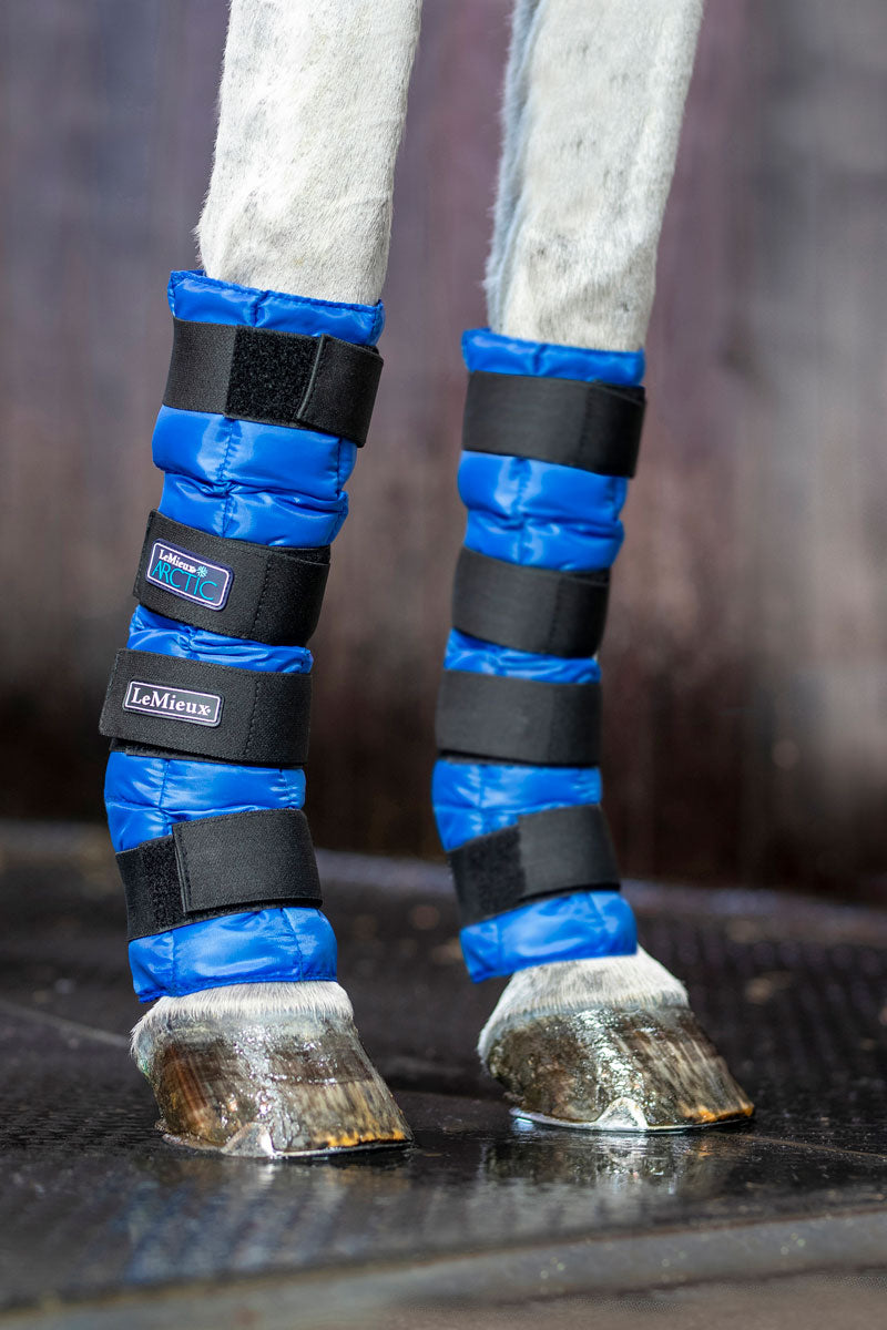 LeMieux Arctic Ice Boot Blue
