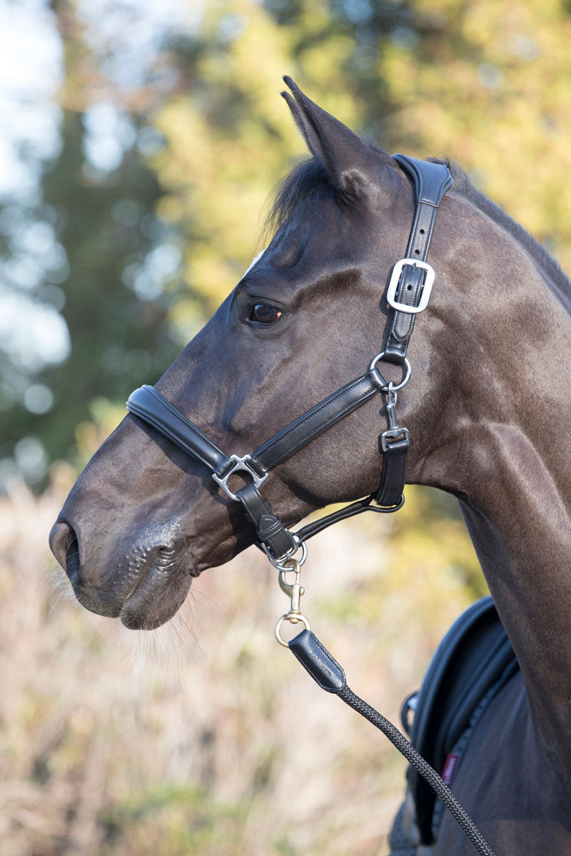 Le Mieux Anatomic Leather Headcollar Black