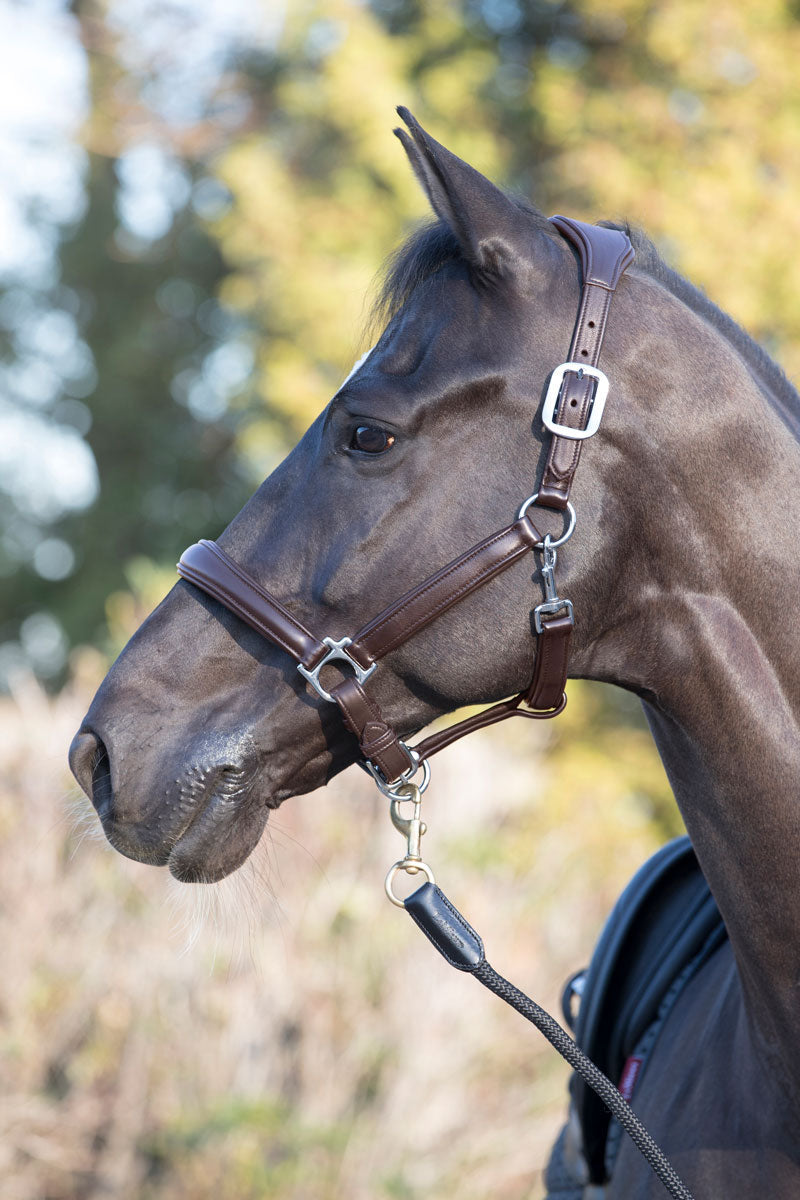 Le Mieux Anatomic Leather Headcollar Brown