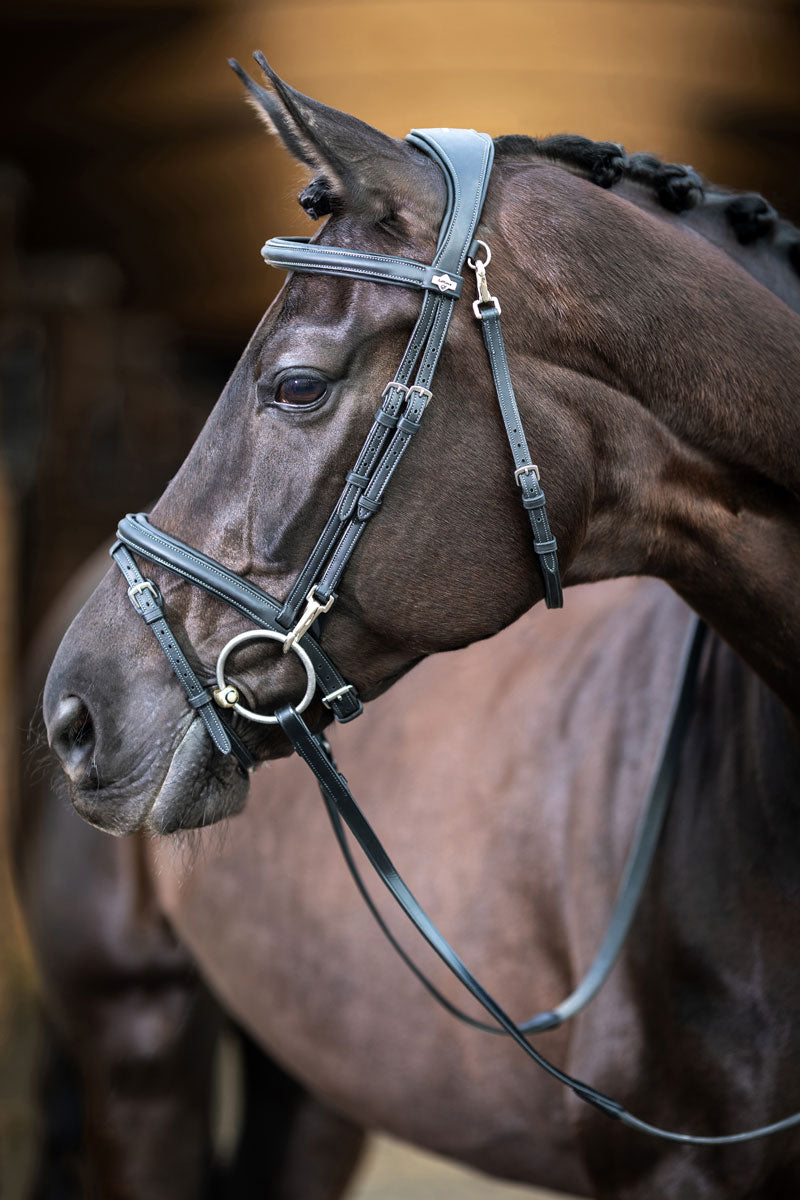 Le Mieux Kudos Work Bridle Black