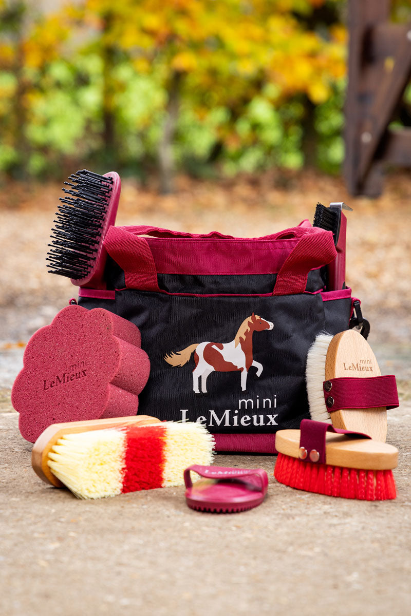 Le Mieux Mini Grooming Set Red