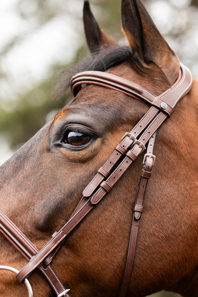 Trust Calgary Bridle Brown/Silver