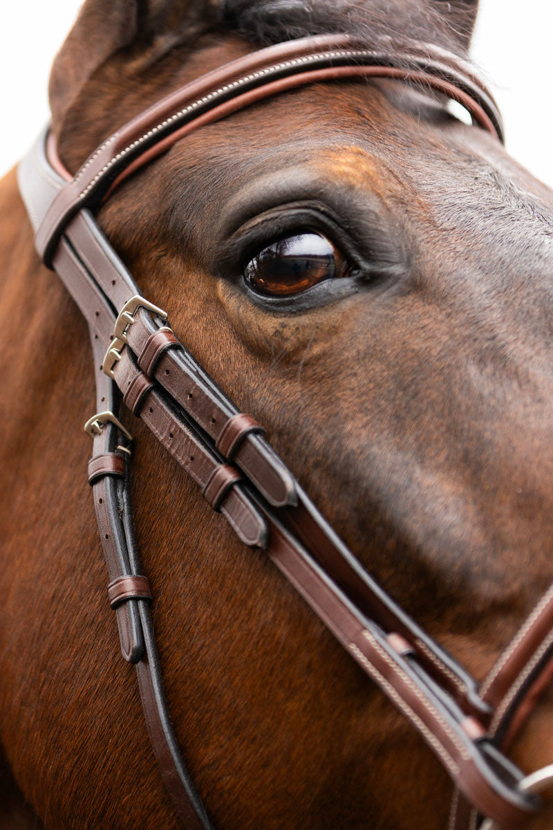 Trust Calgary Bridle Brown/Silver