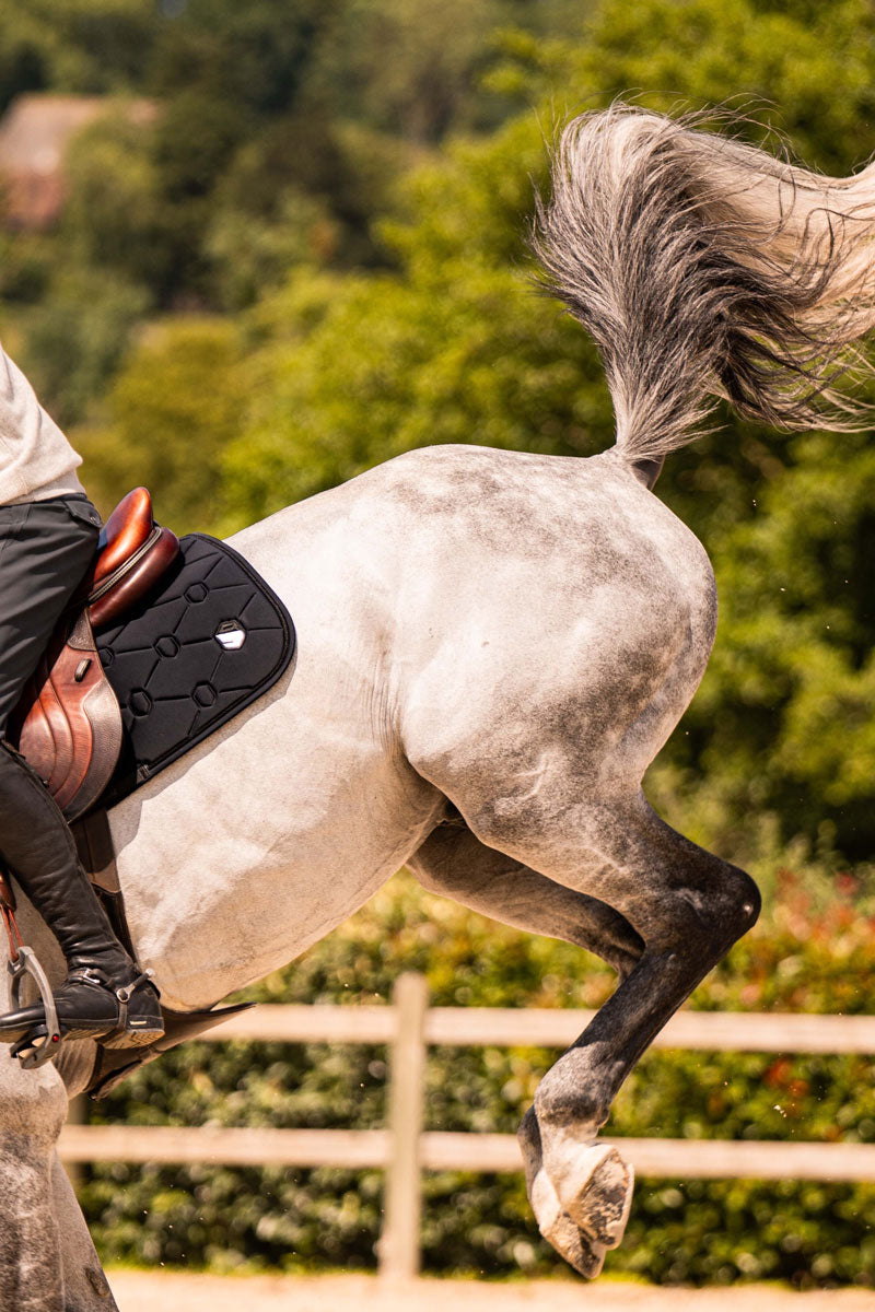 Samshield SpineShield Jump Embroidery Saddle Pad Black
