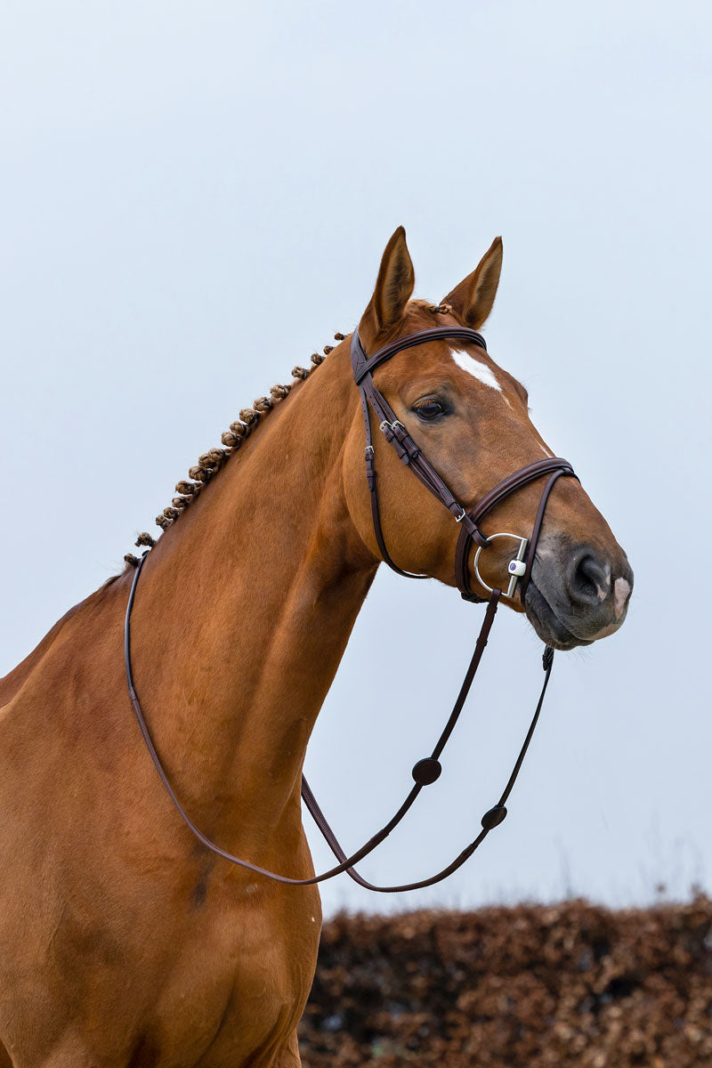 Trust Knokke Bridle Brown/Silver