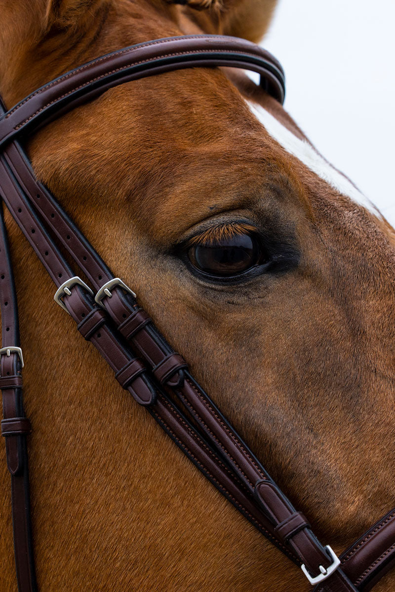 Trust Knokke Bridle Brown/Silver