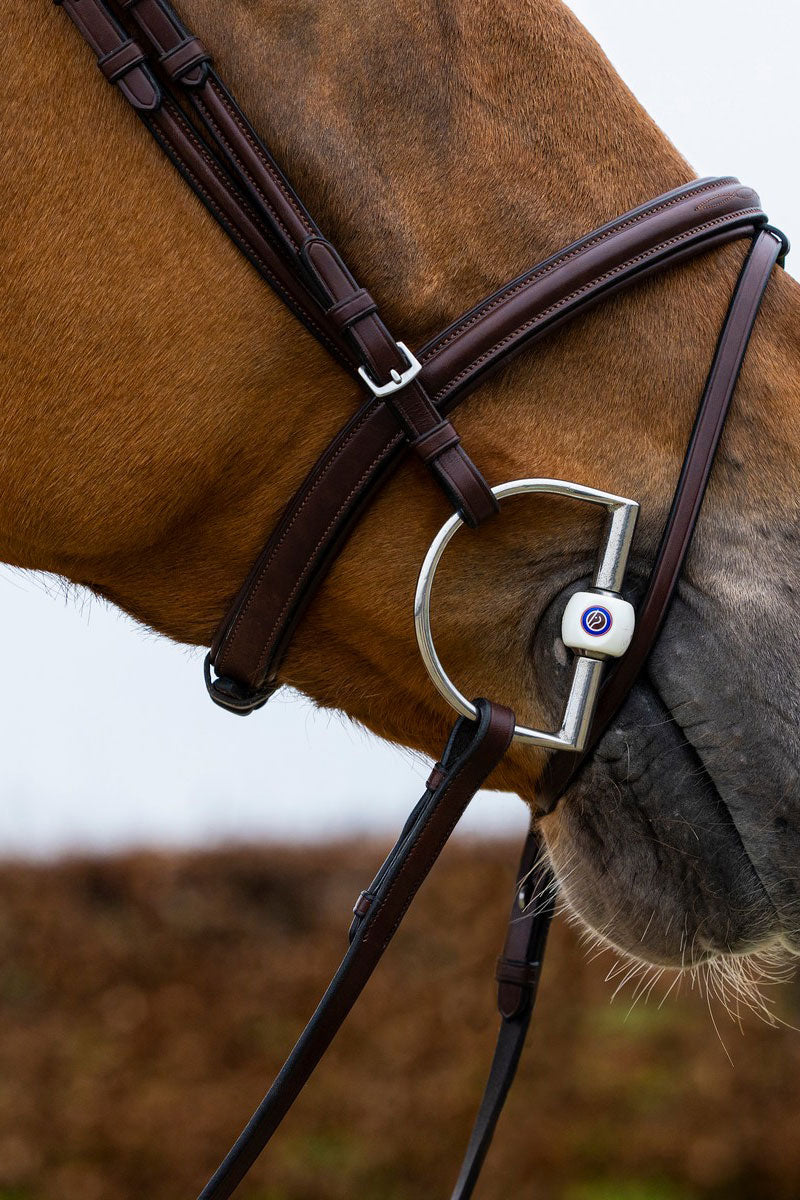 Trust Knokke Bridle Brown/Silver