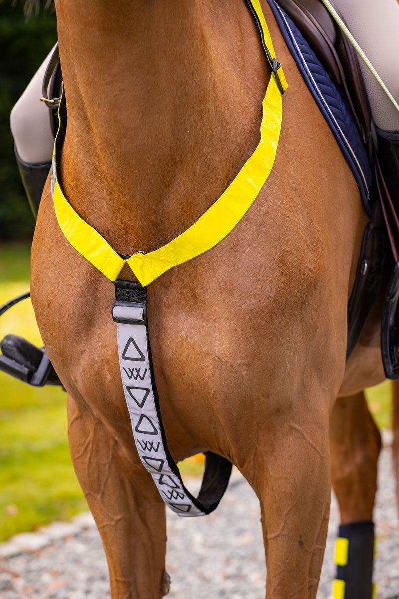 Woof Wear LED Neck Band