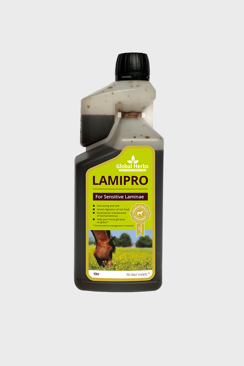 Global Herbs LamiPro Liquid 1L