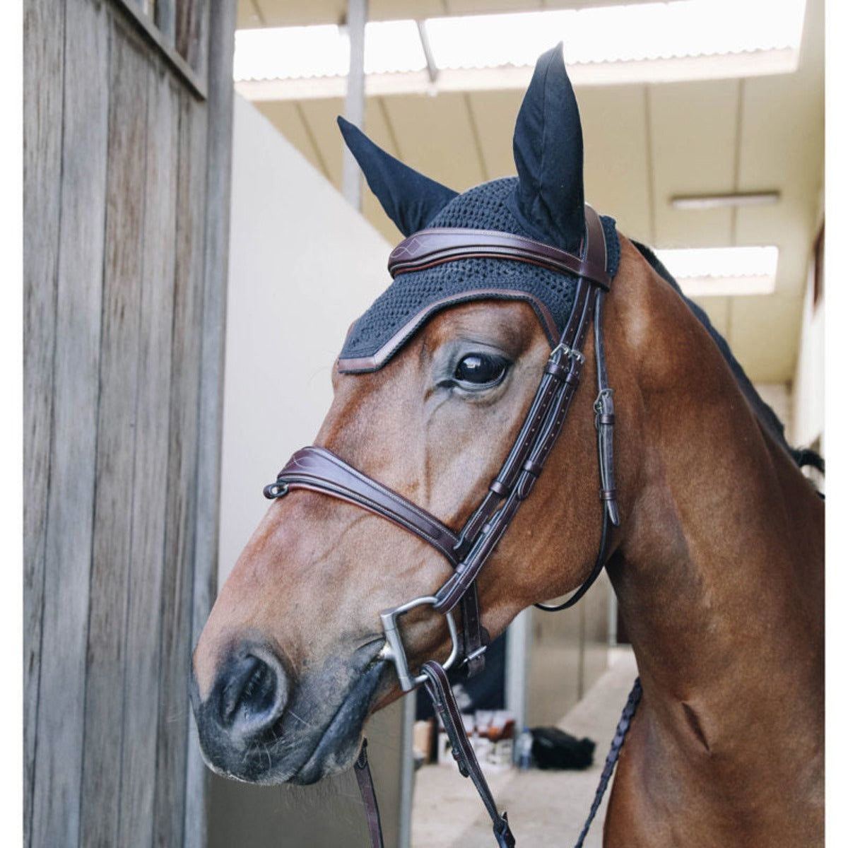 Kentucky Horsewear Wellington Leather Fly Veil Pony