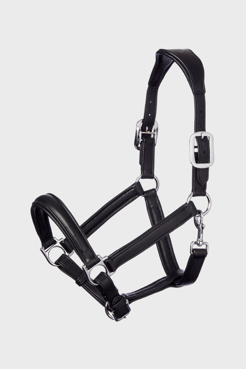 Le Mieux Anatomic Leather Headcollar Black