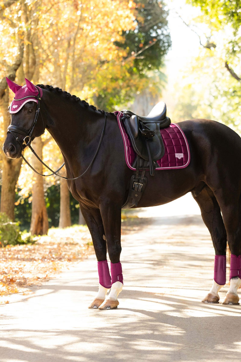LeMieux Loire Classic Dressage Saddle Pad Blackberry