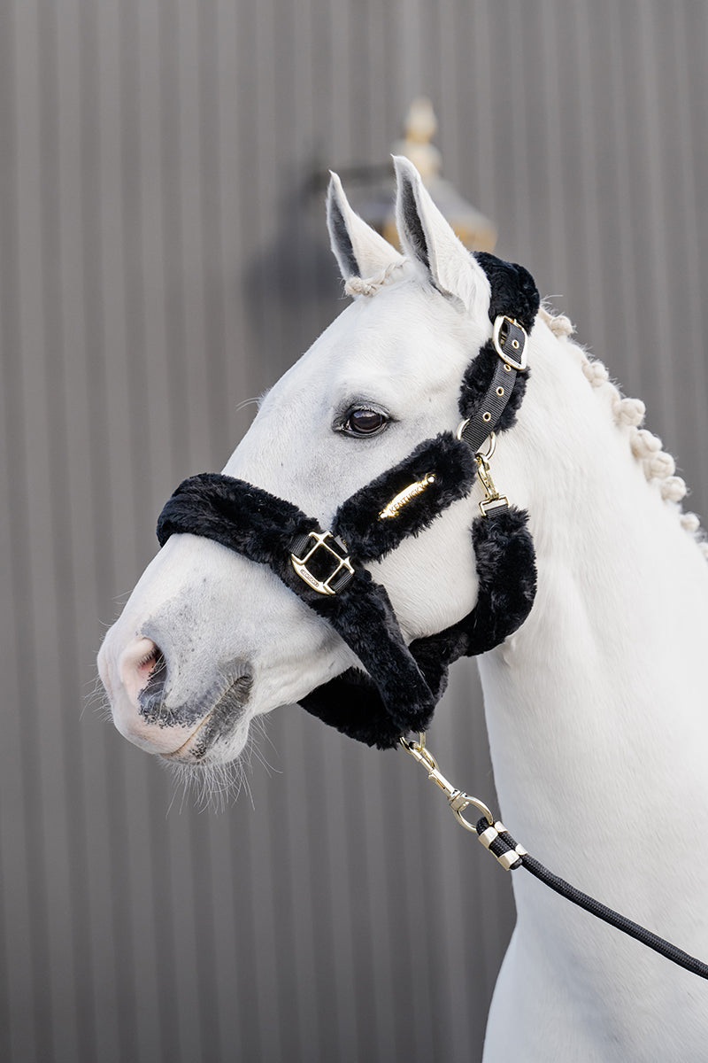 Kentucky Horsewear Sheepskin Shipping Halter Black