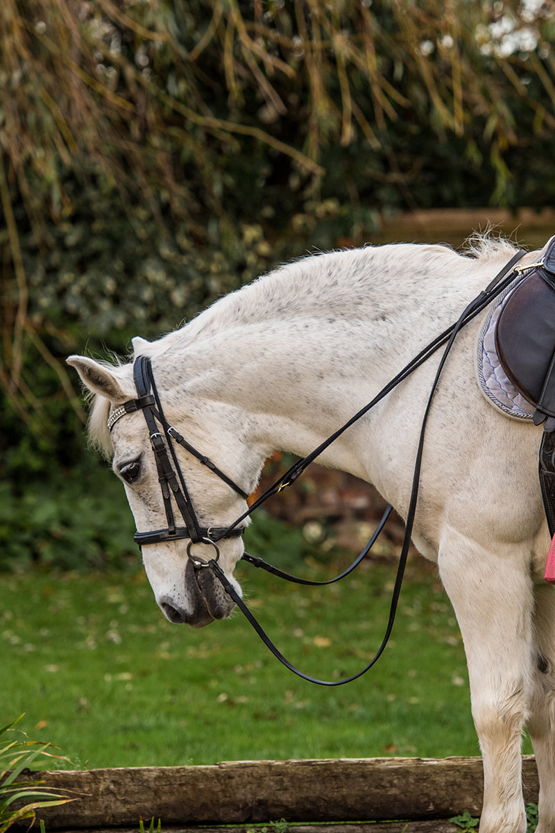 EquiAmi Grass Reins Black