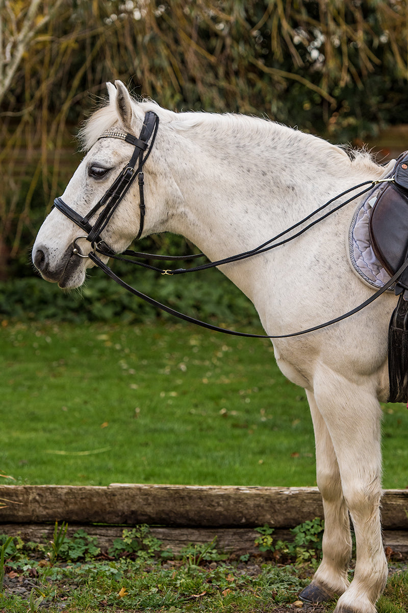 EquiAmi Grass Reins Black