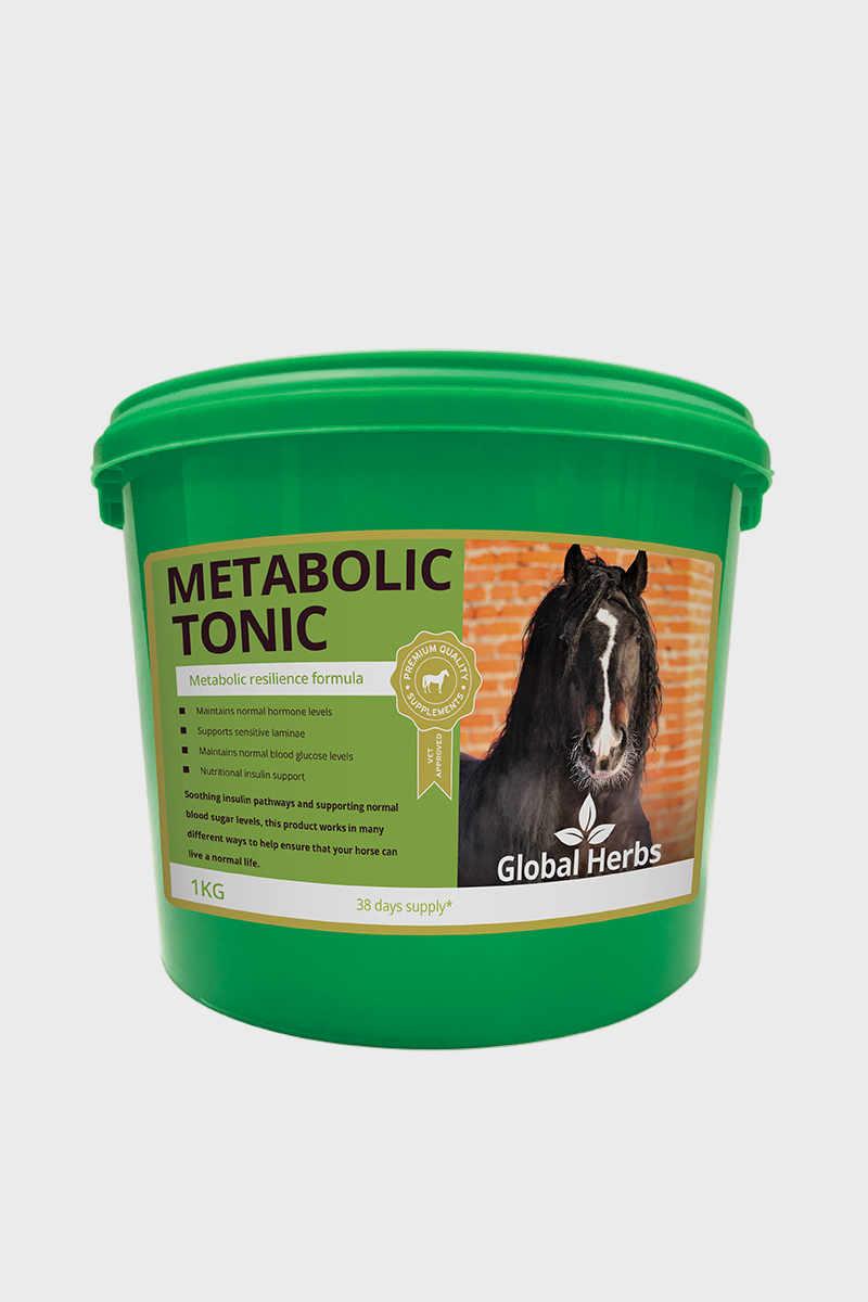 Global Herbs Metabolic Tonic 1kg