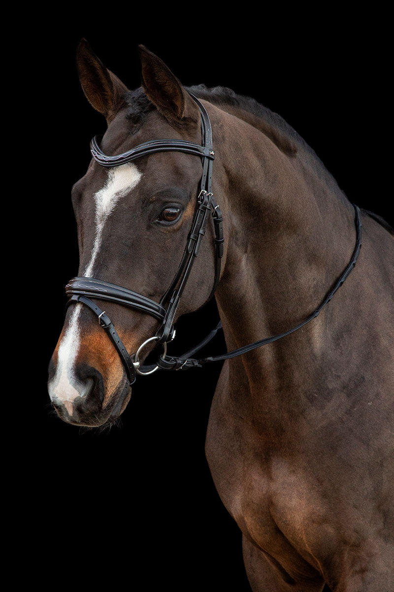 Schockemohle Monza F Bridle Black/Cream/Silver