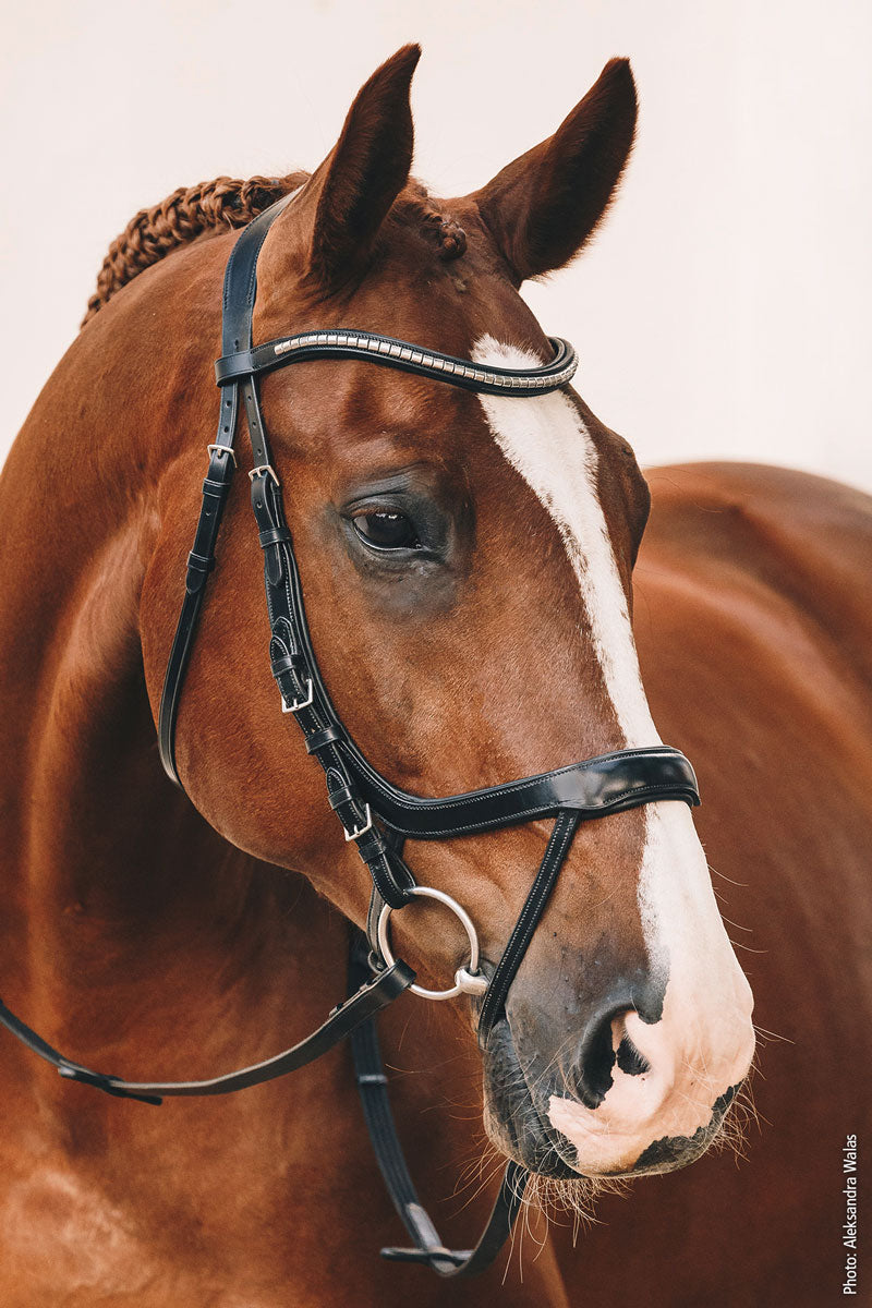 Schockemohle Equitus Omega Bridle Black/Silver