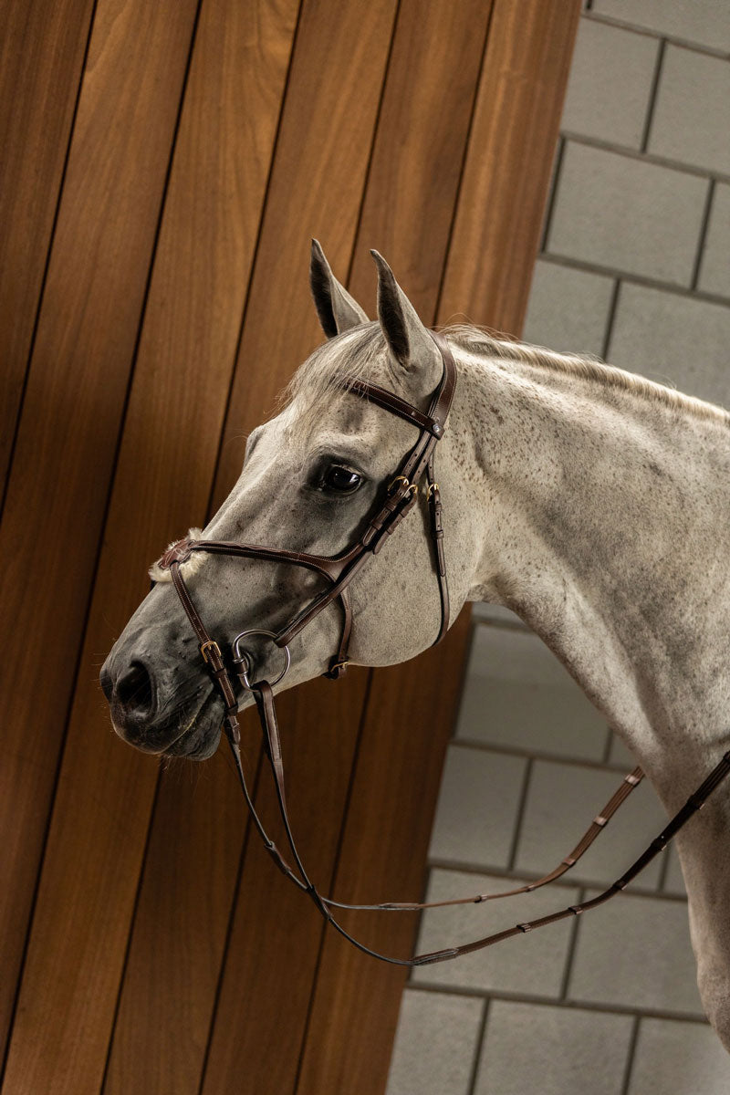 Trust Oslo Bridle Brown/Silver