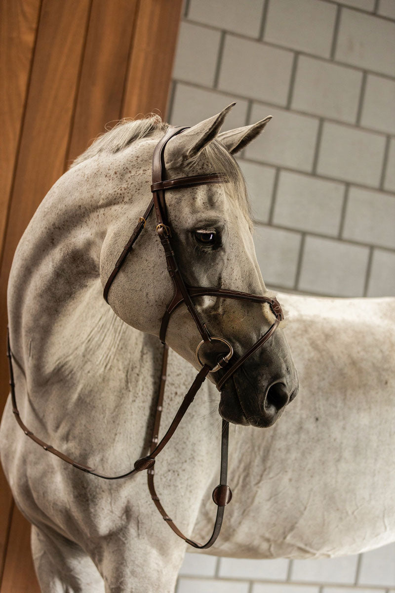 Trust Oslo Bridle Brown/Silver