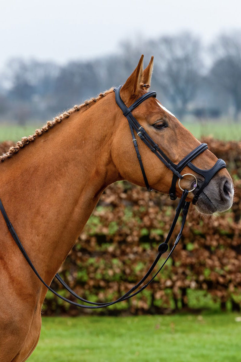 Trust Paris Bridle Black/Silver