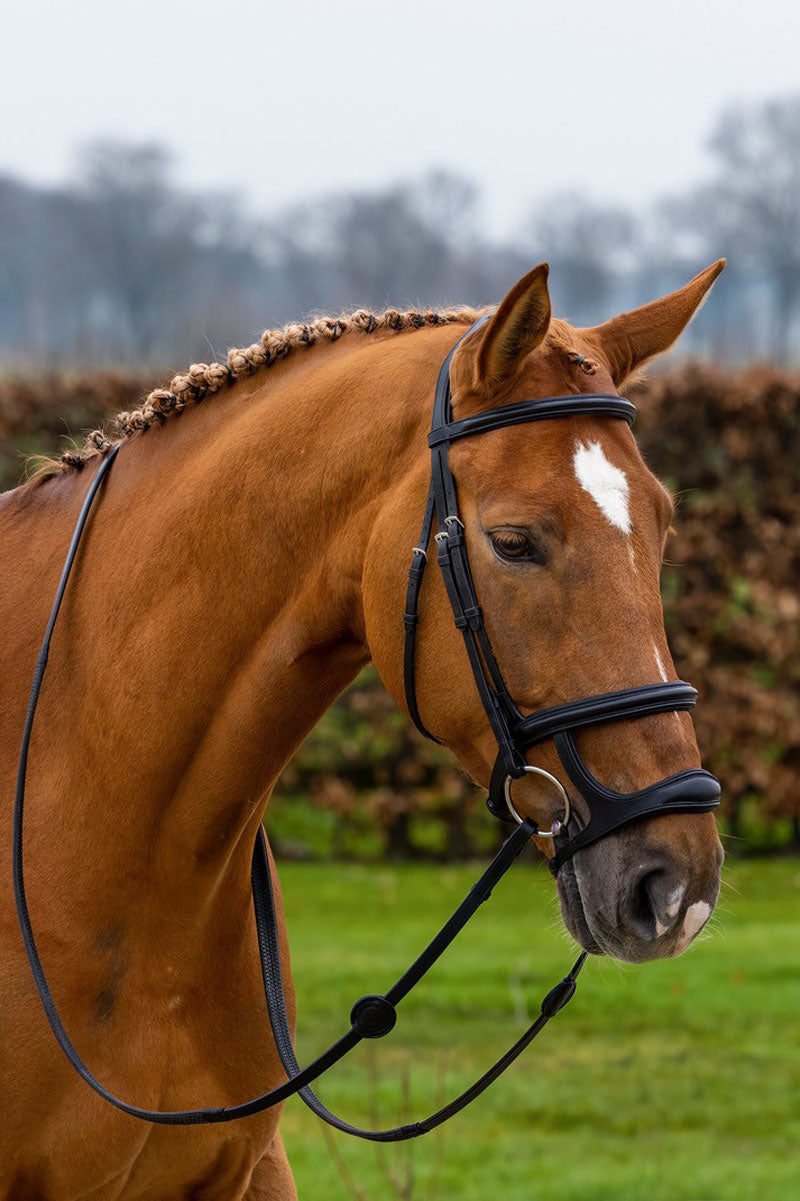 Trust Paris Bridle Black/Silver