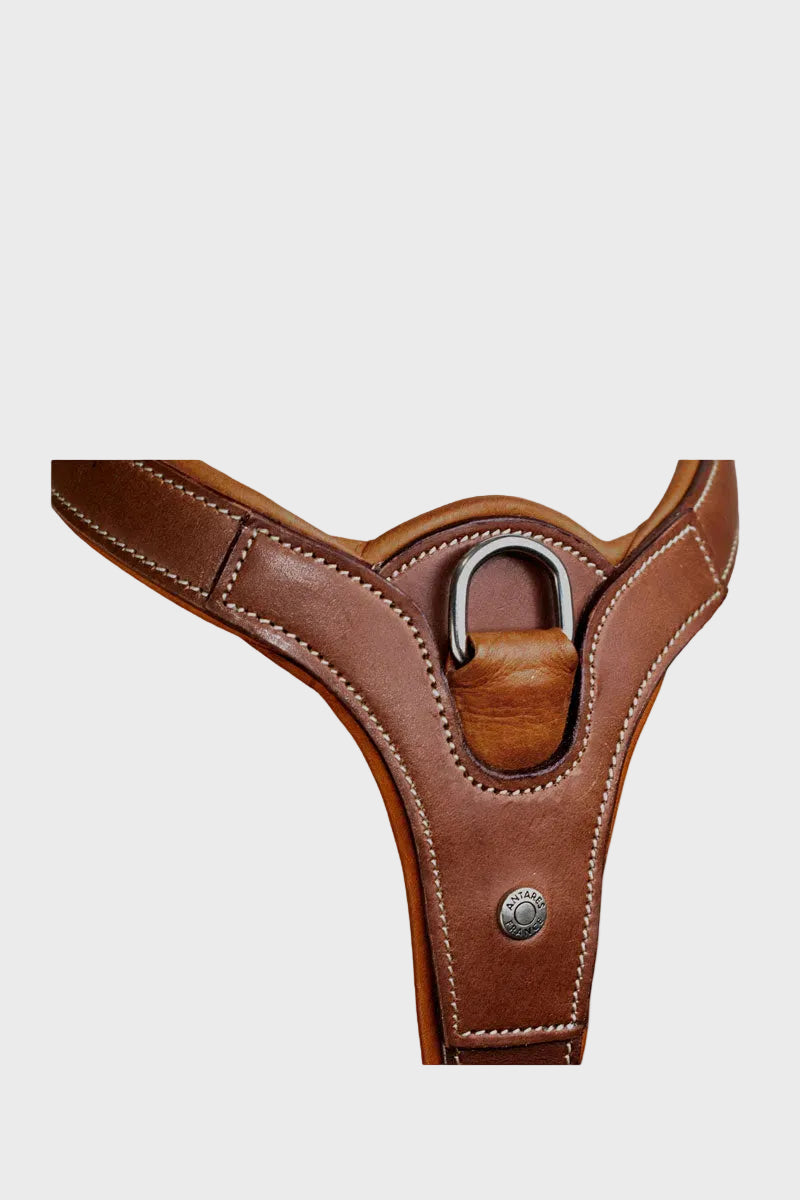 Antares Precision Breastplate for Double Flap Saddle Malt