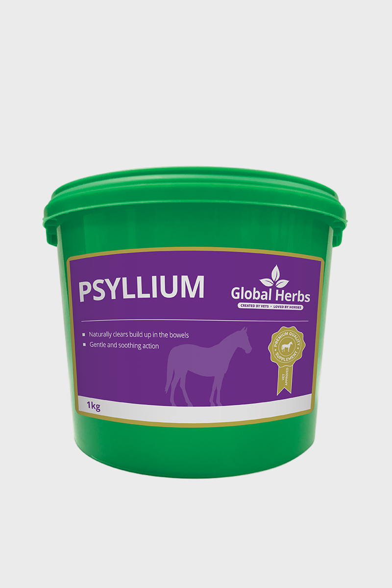 Global Herbs Psyllium 1kg