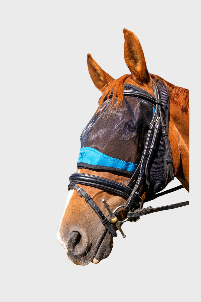 Woof Wear Ride On Fly Mask Black/Turquoise