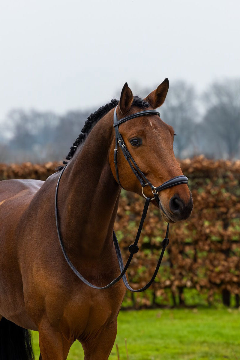 Trust Rome Bridle Black/Silver