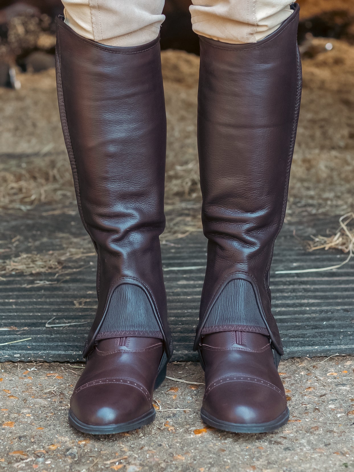 Just Chaps Saltos Half Chaps Brown