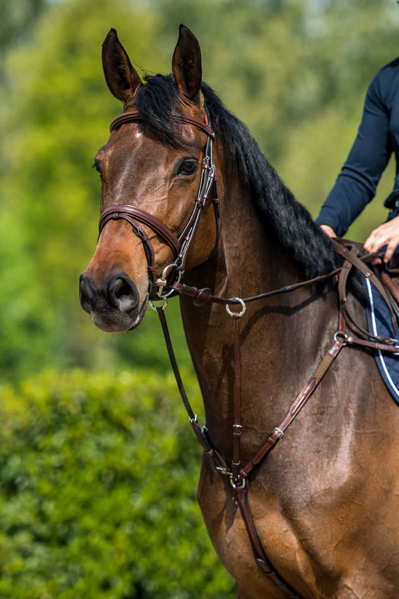 Trust Calgary Bridle Brown/Silver