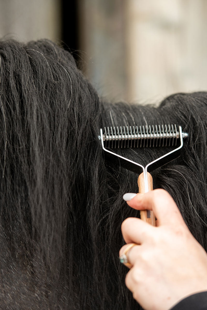 Smart Grooming Smart Manes Fine