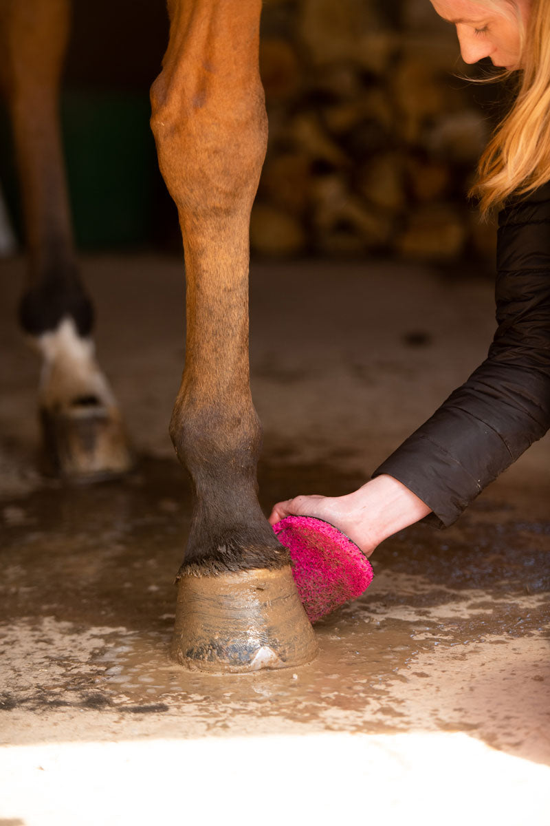 Smart Grooming Super Groomer Deluxe Pink