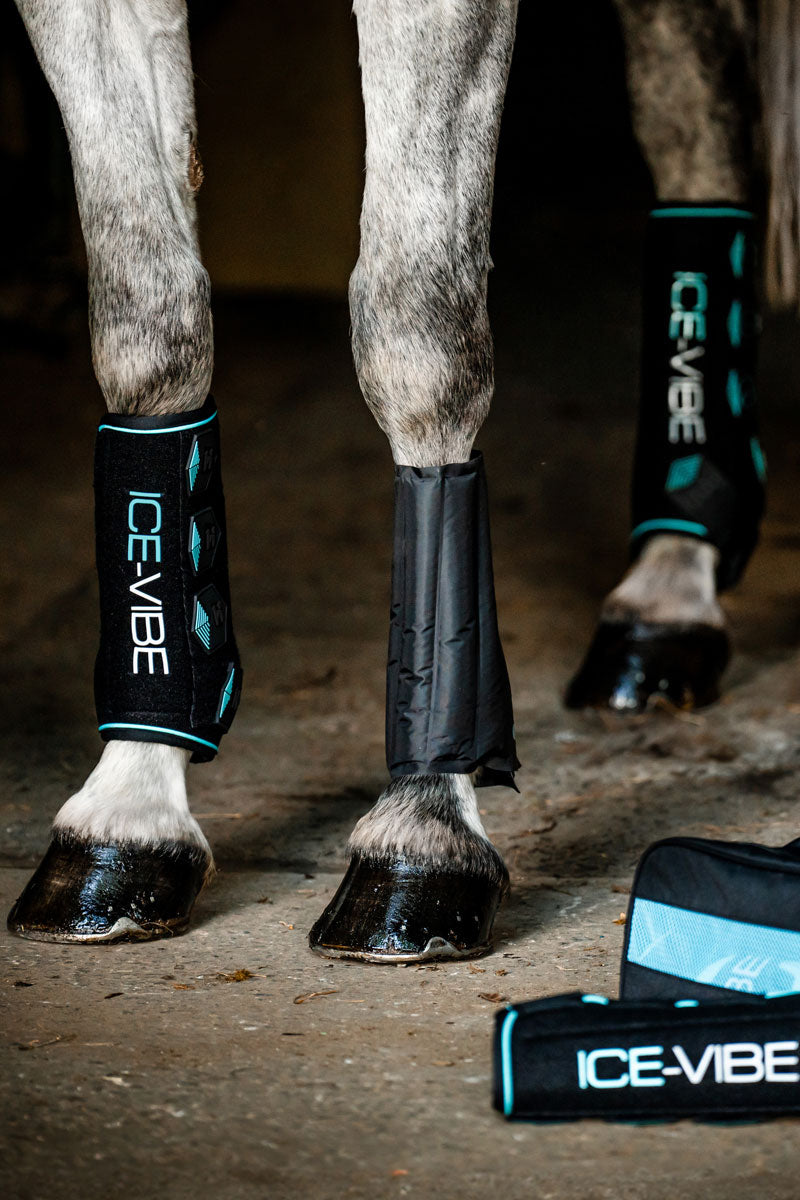 Horseware Ice-Vibe Leg Wraps Black/Aqua