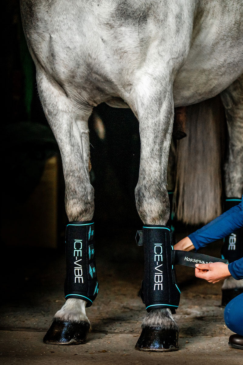 Horseware Ice-Vibe Leg Wraps Black/Aqua