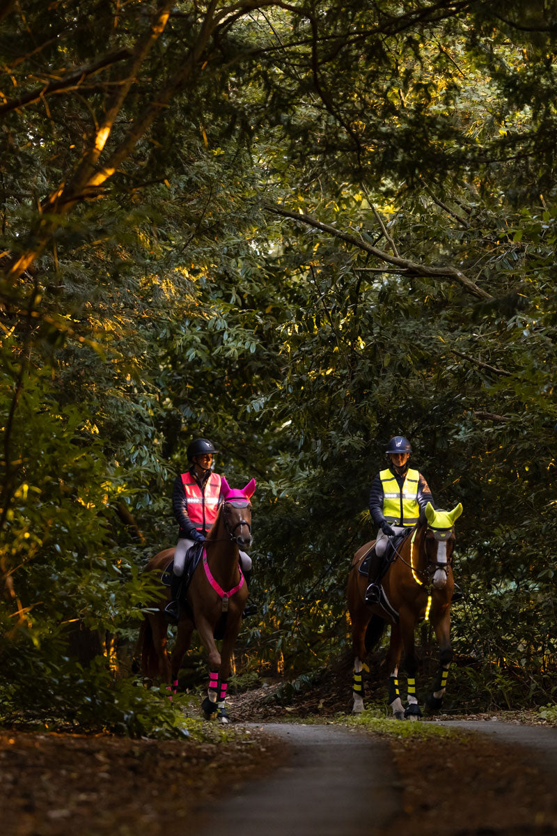 Woof Wear Hi Vis LED Riding Vest