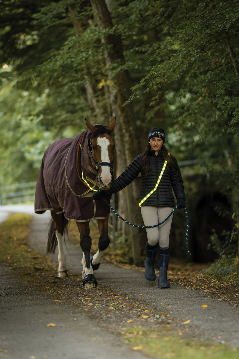 Woof Wear Pro Head Torch