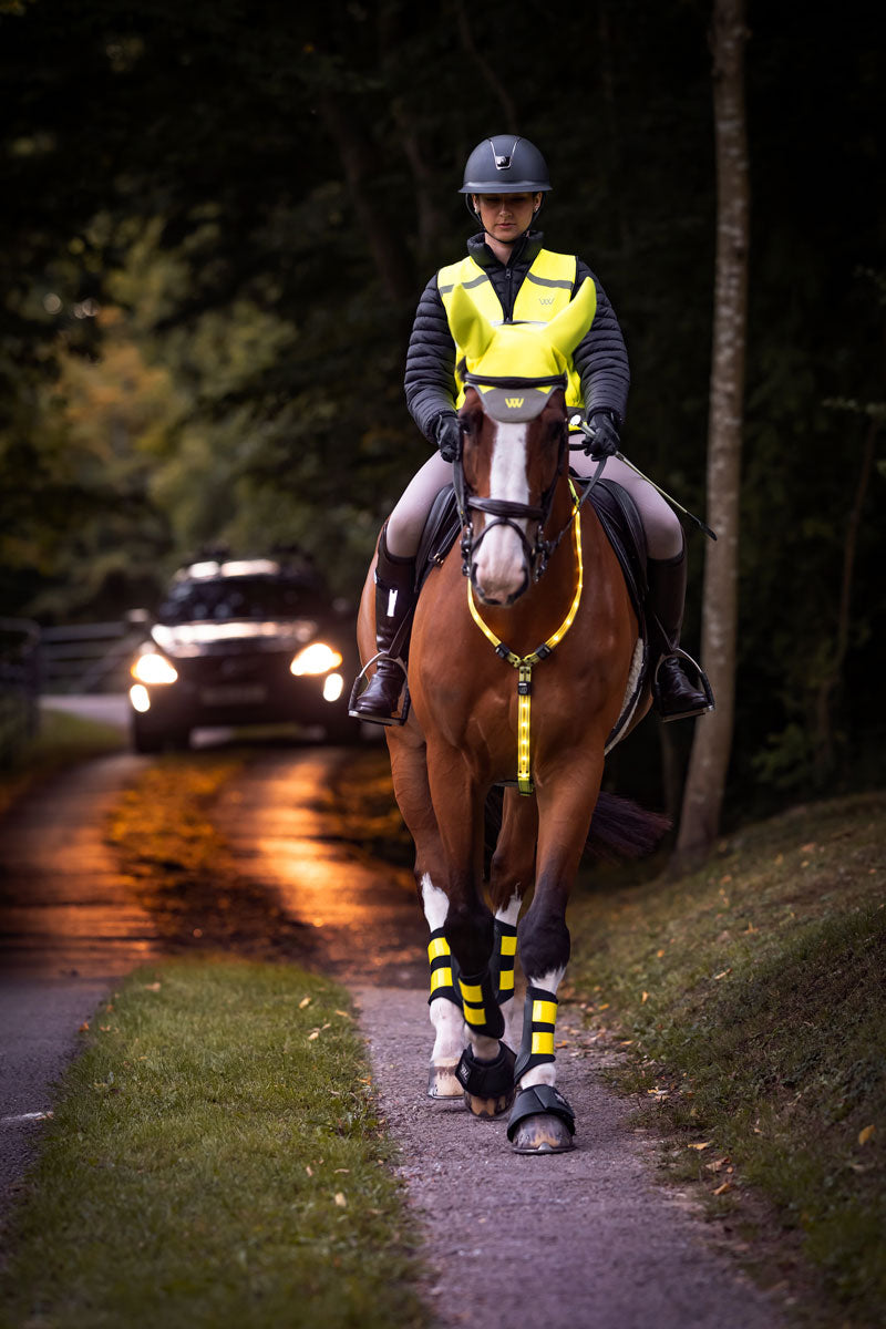 Woof Wear 3 in 1 Rider Safety Lights