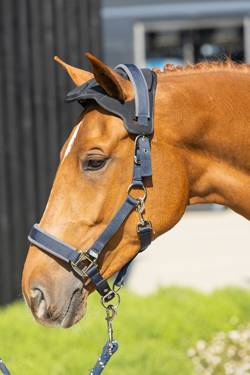 Woof Wear Poll Guard Black