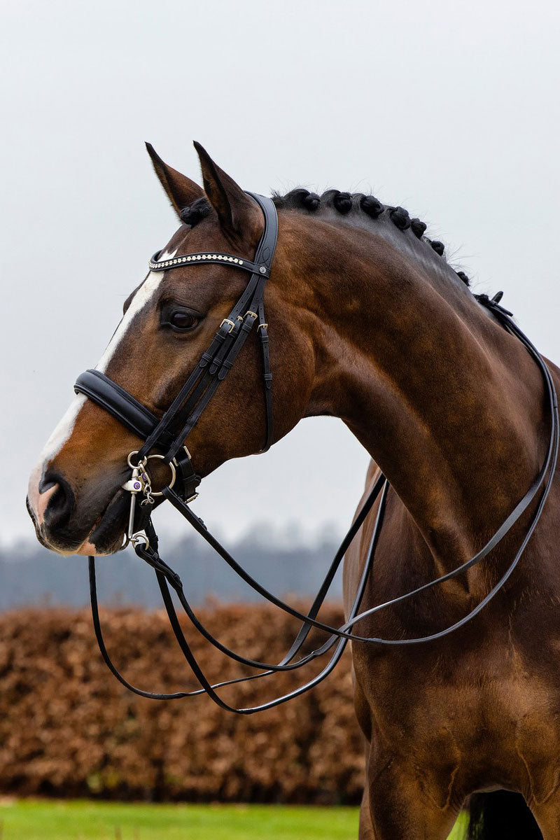 Trust Wellington Bridle Black/Black