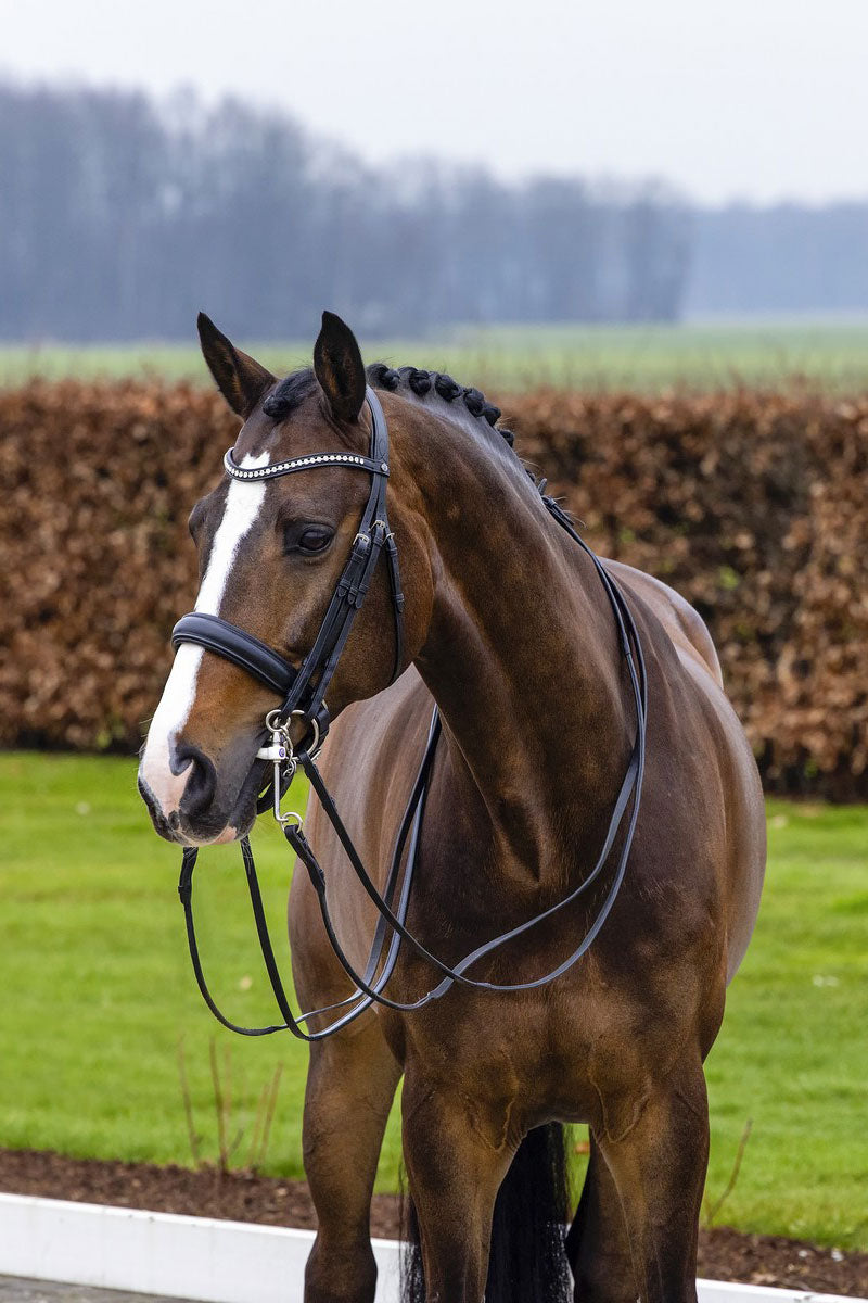 Trust Wellington Bridle Black/Black