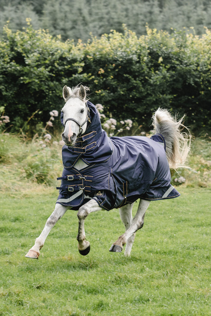 Mackey Wicklow Light (50g) Turnout Rug Navy/Gold