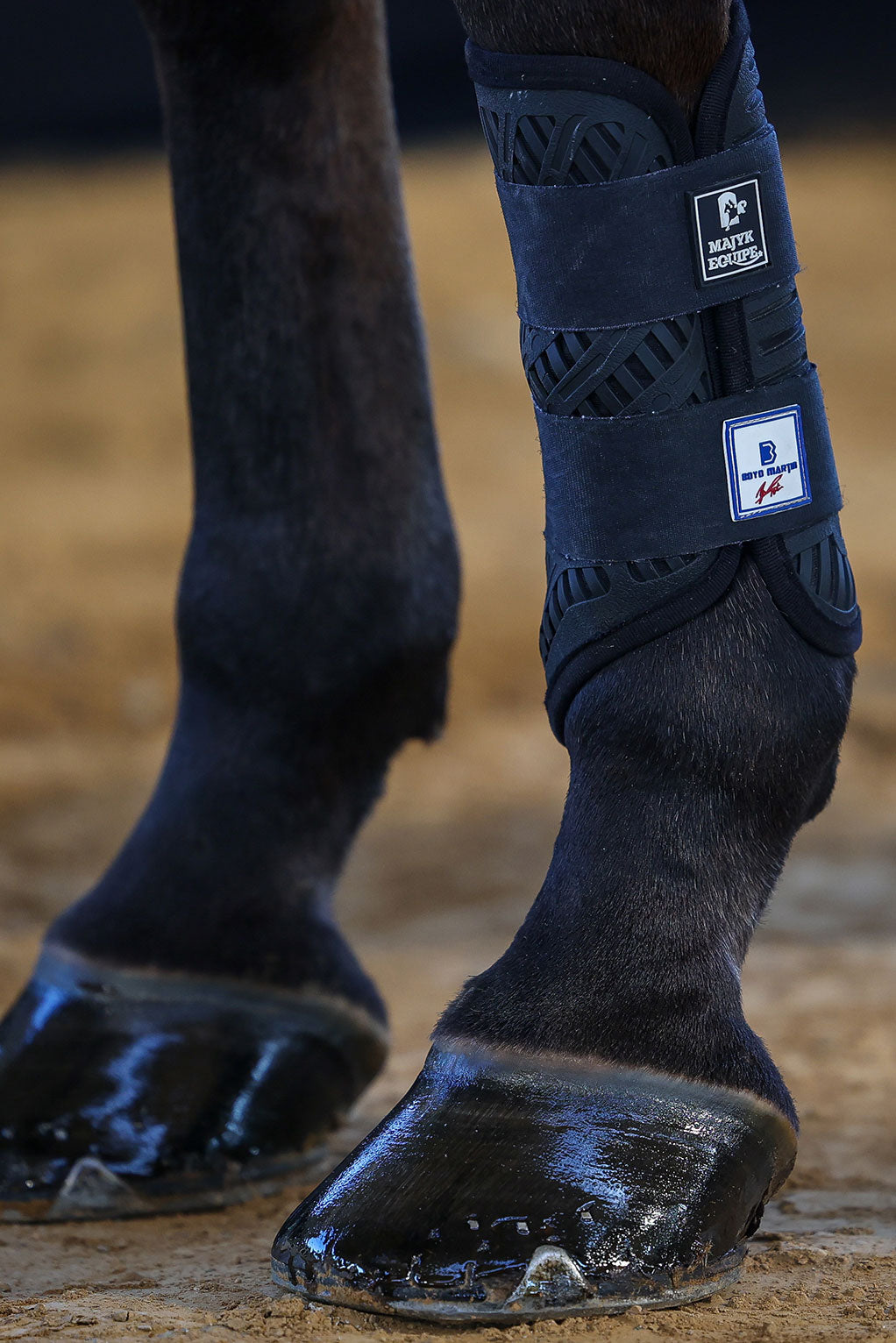 Majyk Equipe Color Elite XC Boot - Front