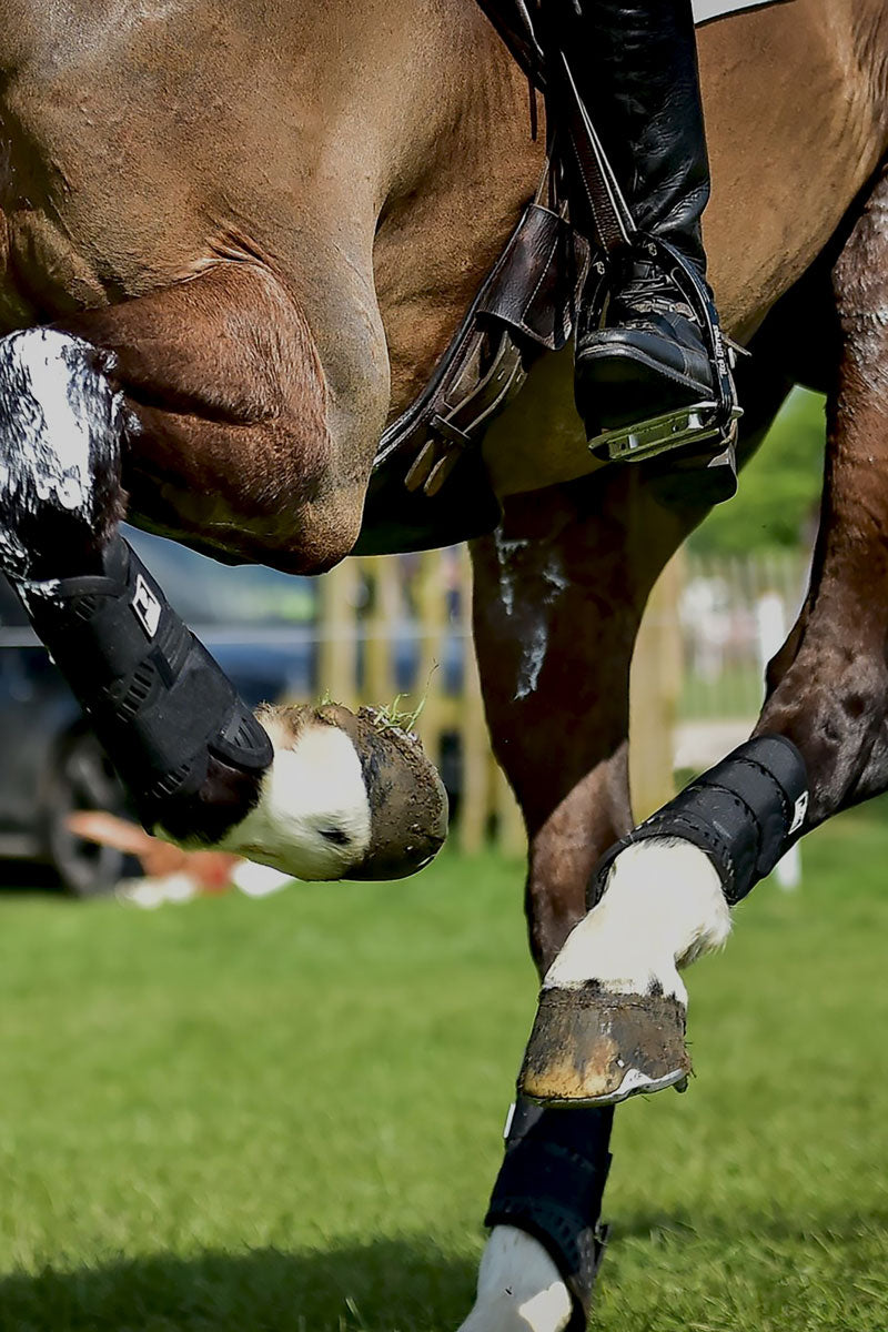 Majyk Equipe Color Elite XC Boot - Hind Black