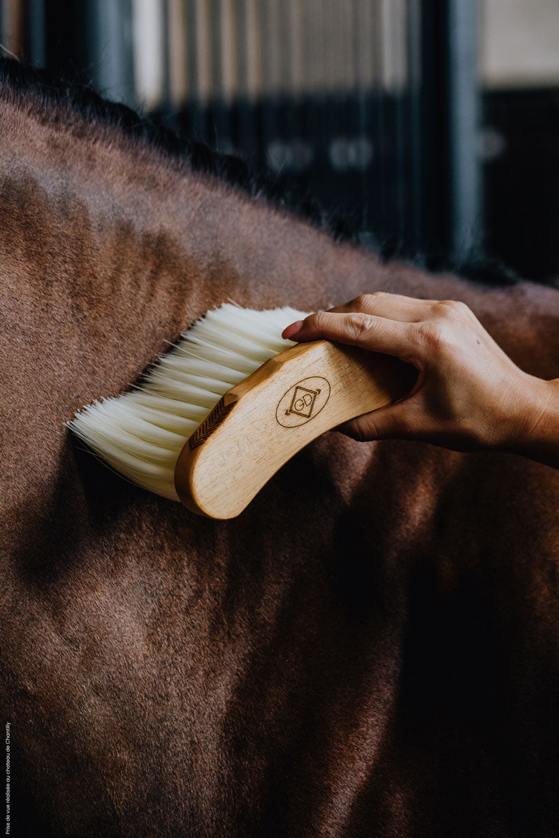 Grooming Deluxe Middle Brush Long