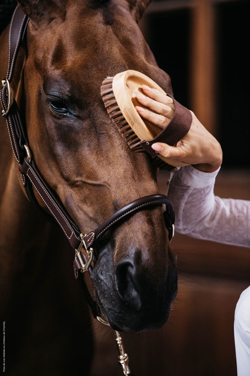 Grooming Deluxe Overall Brush Soft